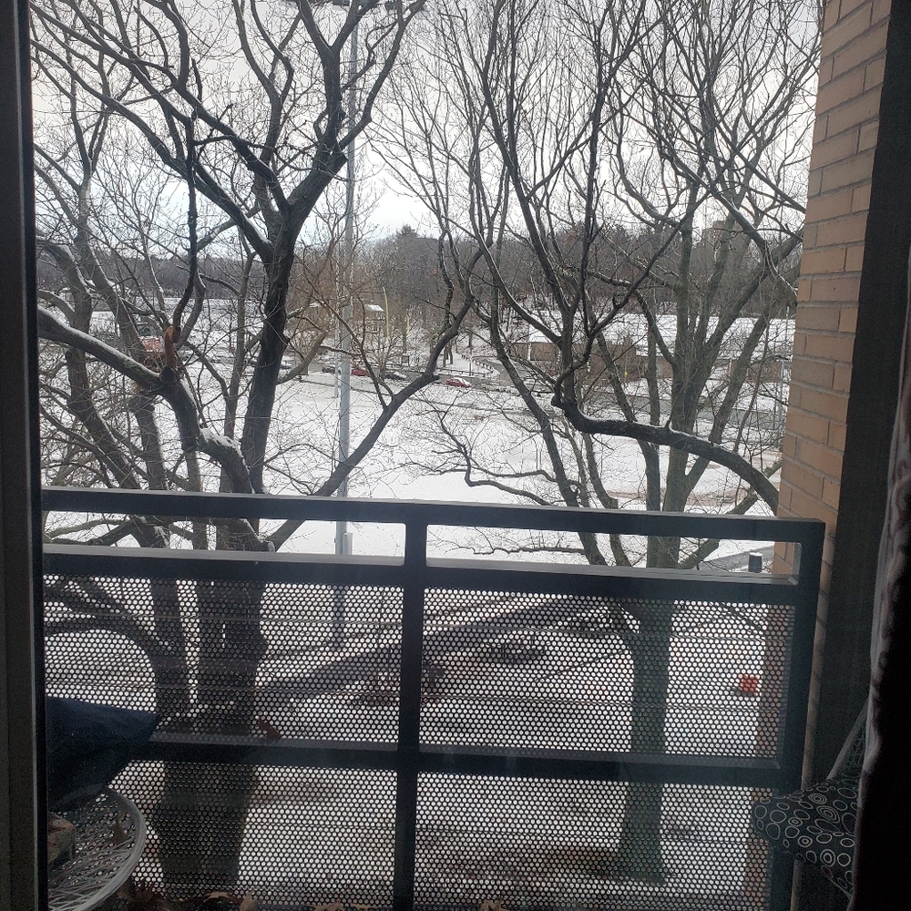 Meet your Posher, Theresa